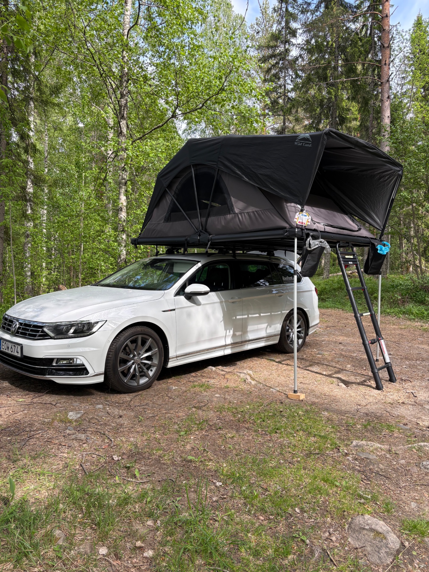 Vit Passat med taktält uppslaget i en björkskog