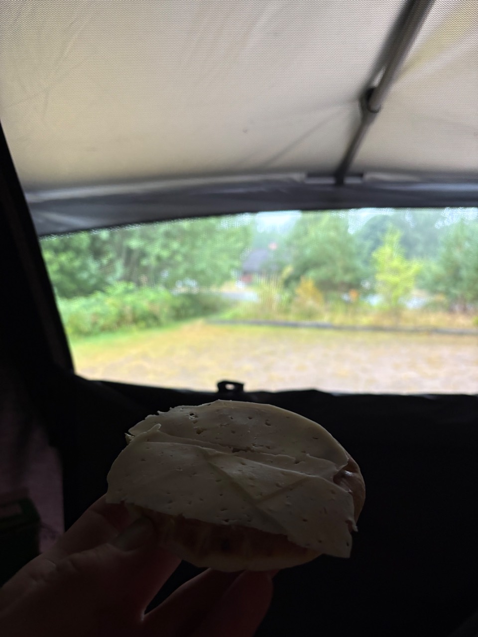Regn 🌧️ (1/2)